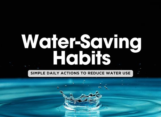 Water Conservation: Top 12 Tips for Reducing Your Household Water Use