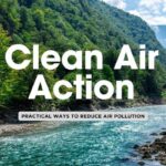 8 Ways You Can Make a Positive Change in the Air We Breathe