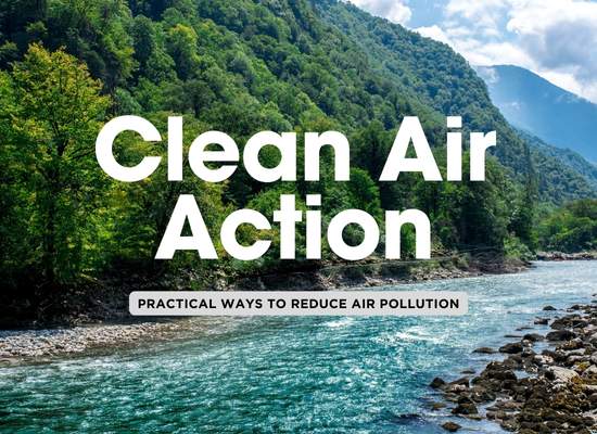 8 Ways You Can Make a Positive Change in the Air We Breathe