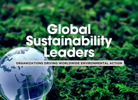 Global Organizations Devoted to Sustainability