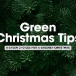 Top 8 Green Choices to Make This Christmas 🌱🎄