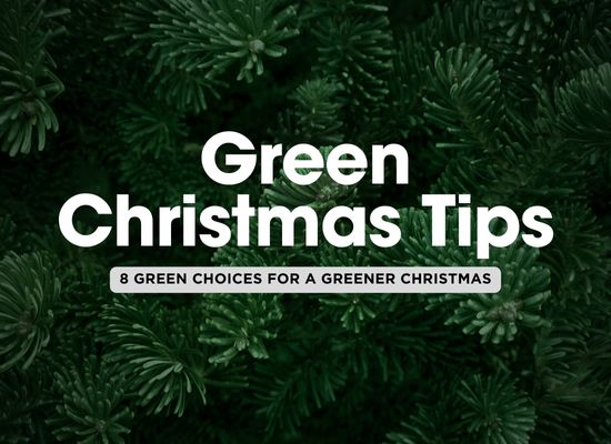 Top 8 Green Choices to Make This Christmas 🌱🎄