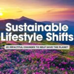 Top 25 Lifestyle Changes Going into 2025 that could Save the Planet