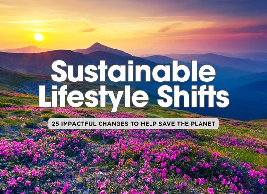 Top 25 Lifestyle Changes Going into 2025 that could Save the Planet