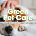 Eco-Friendly Pet Care Practices to Keep Your Furry Friends and the Planet Happy