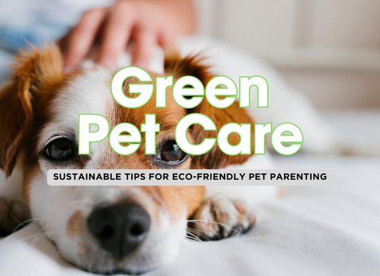 Eco-Friendly Pet Care Practices to Keep Your Furry Friends and the Planet Happy