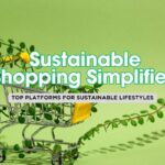 Swapping for Sustainability: The Best Online Platforms for Eco-Trading