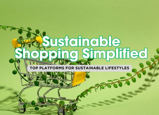 Swapping for Sustainability: The Best Online Platforms for Eco-Trading