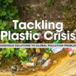 10 Practical Ways Households Can Combat Plastic Pollution