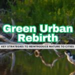 5 Key Steps to Rewilding Urban Areas