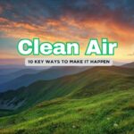 10 Simple Ways to Support Clean Air (That Anyone Can Do)