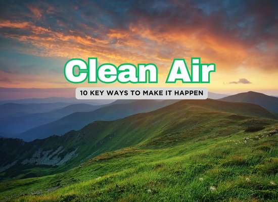 10 Simple Ways to Support Clean Air (That Anyone Can Do)