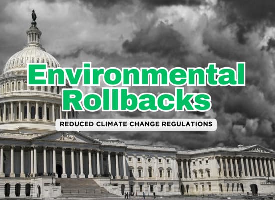 Top 10 Ways the Trump Administration’s Policies Will Impact the Environment