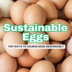 The Greenest Ways to Get Eggs: Sustainable Choices for a Healthier Planet