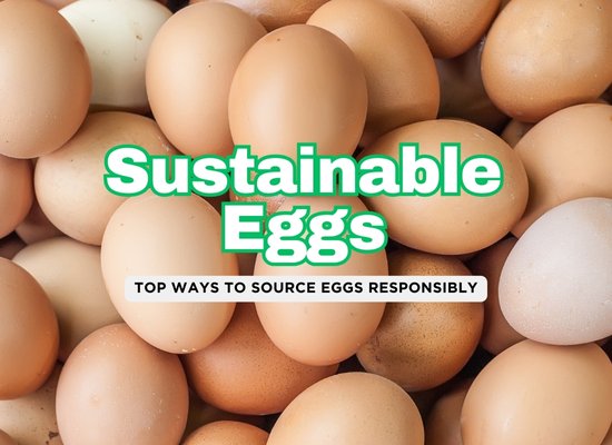 The Greenest Ways to Get Eggs: Sustainable Choices for a Healthier Planet